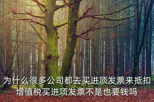 為什么很多公司都去買進(jìn)項(xiàng)發(fā)票來(lái)抵扣增值稅買進(jìn)項(xiàng)發(fā)票不是也要錢嗎