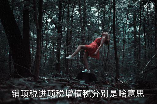 銷項稅進(jìn)項稅增值稅分別是啥意思