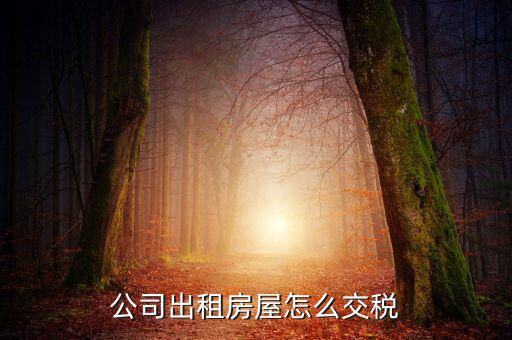 企業(yè)承租房屋交什么稅，公司租賃房屋需要交哪些稅