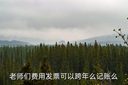 什么發(fā)票可以跨年入賬，增值稅專用發(fā)票可以跨年做賬嗎