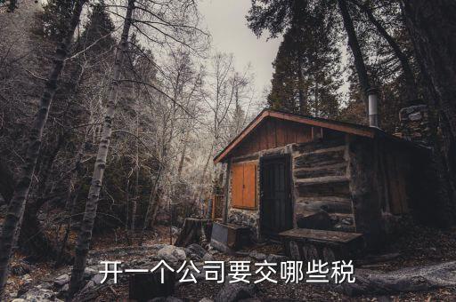 開(kāi)一個(gè)公司要交哪些稅