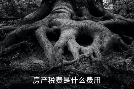 什么是房土兩稅，什么是城鎮(zhèn)土地使用稅