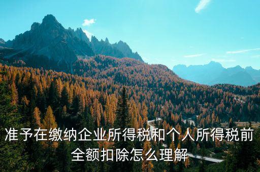 準(zhǔn)予在繳納企業(yè)所得稅和個(gè)人所得稅前全額扣除怎么理解