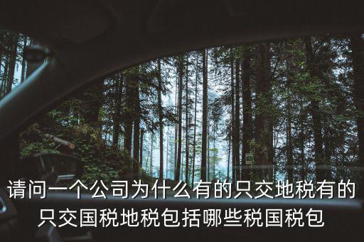 請問一個公司為什么有的只交地稅有的只交國稅地稅包括哪些稅國稅包