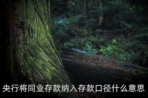 業(yè)務(wù)口徑是什么意思，銀行說的十四行口徑是什么意思