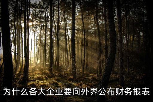 為什么要報送財務報表，為什么要編財務報表