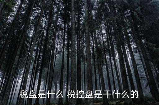 稅盤是什么 稅控盤是干什么的