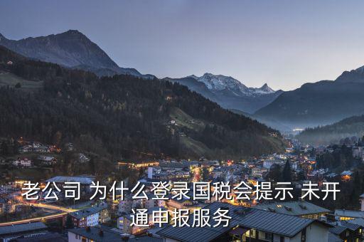 老公司 為什么登錄國(guó)稅會(huì)提示 未開(kāi)通申報(bào)服務(wù)