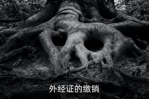 廈門(mén)繳銷(xiāo)外經(jīng)證國(guó)稅什么資料，廈門(mén)國(guó)稅需銷(xiāo)項(xiàng)合同是什么