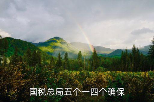 稅務(wù)局五個一是什么意思，國稅總局五個一四個確保