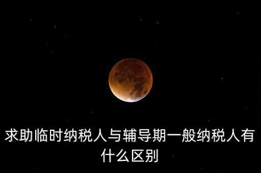 什么是臨時納稅人，臨時一般納稅人是什么意思