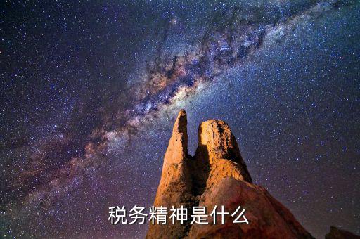 稅務(wù)精神是什么