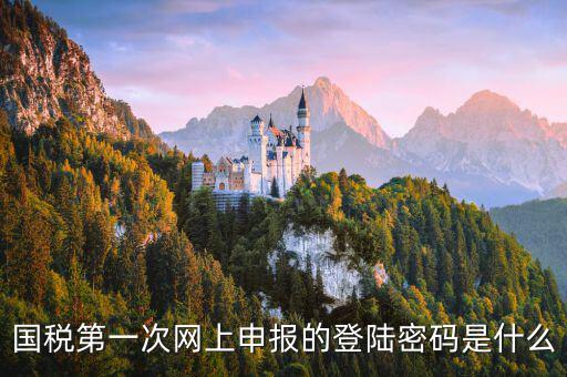 國(guó)稅網(wǎng)報(bào)口令是什么，國(guó)稅第一次網(wǎng)上申報(bào)的登陸密碼是什么