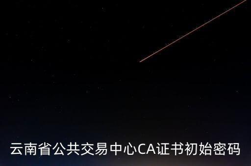 ca原始密碼登錄是什么，蘇州投標(biāo)ca初始密碼