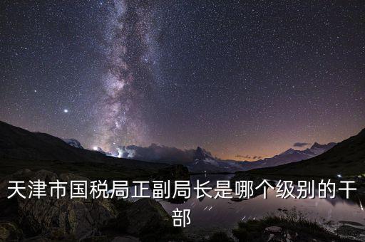 國稅局副局長(zhǎng)是什么級(jí)別，天津市國稅局正副局長(zhǎng)是哪個(gè)級(jí)別的干部