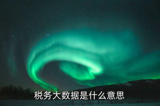 稅務大數據是什么意思