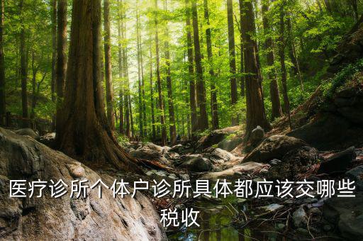 醫(yī)院應(yīng)交什么稅，醫(yī)療診所個體戶診所具體都應(yīng)該交哪些稅收