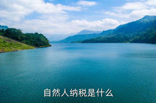 自然人納稅是什么