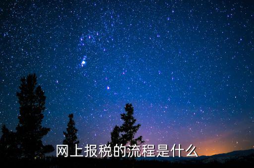 網上報稅的流程是什么