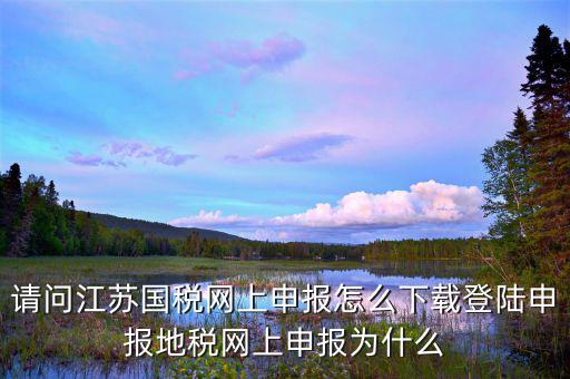 為什么江蘇地稅稅號(hào)登不進(jìn)去，請(qǐng)問江蘇國稅網(wǎng)上申報(bào)怎么下載登陸申報(bào)地稅網(wǎng)上申報(bào)為什么
