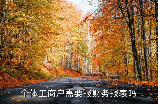 個(gè)體戶(hù)都需要申報(bào)什么表，個(gè)體工商戶(hù)需要報(bào)財(cái)務(wù)報(bào)表嗎