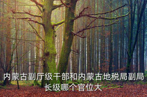 內(nèi)蒙古副廳級(jí)干部和內(nèi)蒙古地稅局副局長級(jí)哪個(gè)官位大
