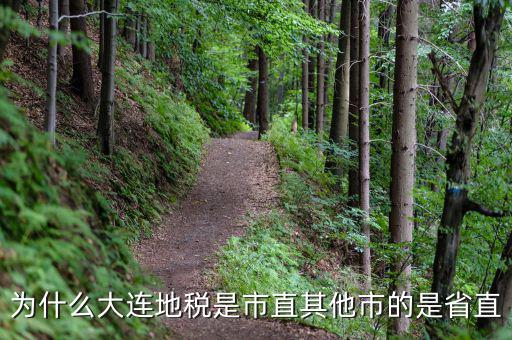 大連地稅局局長(zhǎng)叫什么，大連地稅局的客服電話是多少