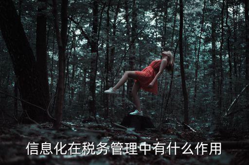 信息化在稅務管理中有什么作用