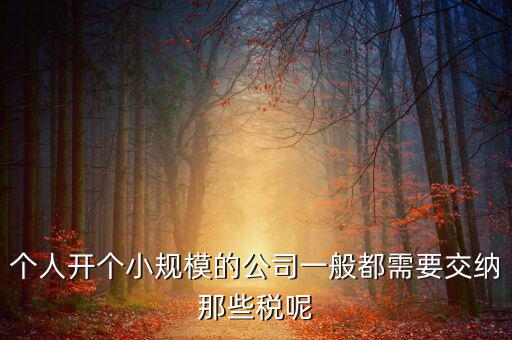 個人開辦水廠需要什么稅，自來水公司的水廠要交房產(chǎn)稅和土地使用稅嗎