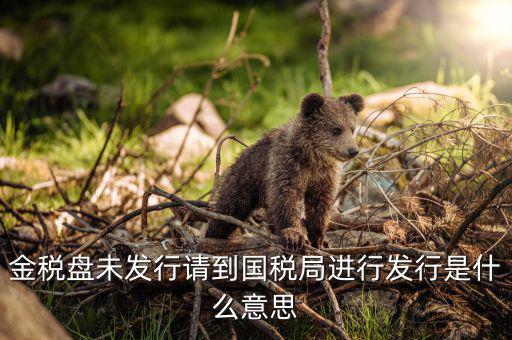 金稅盤未發(fā)行請到國稅局進(jìn)行發(fā)行是什么意思