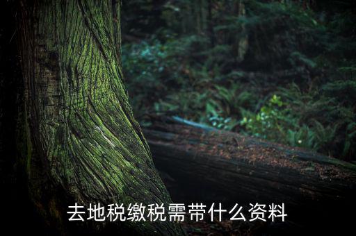 無錫地稅需要帶什么材料，去地稅繳稅需帶什么資料