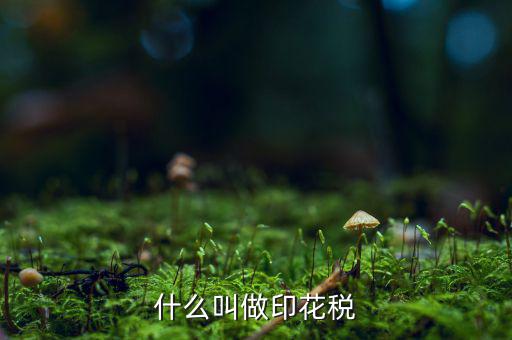 銀行印花稅是什么，什么叫做印花稅