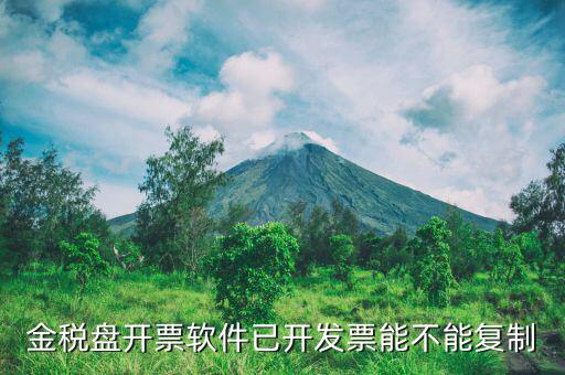 什么發(fā)票能進行復(fù)制發(fā)票操作，如何將Excel中制作的發(fā)票專業(yè)發(fā)票復(fù)制到Word文檔中并且格式