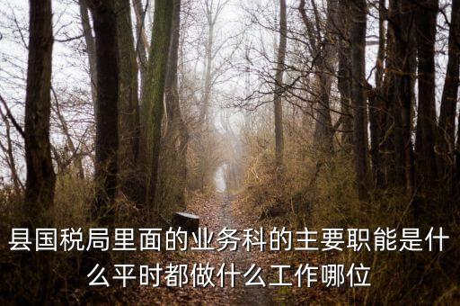 什么是稅政工作，縣國稅局里面的業(yè)務(wù)科的主要職能是什么平時(shí)都做什么工作哪位
