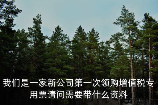 我們是一家新公司第一次領(lǐng)購(gòu)增值稅專用票請(qǐng)問(wèn)需要帶什么資料
