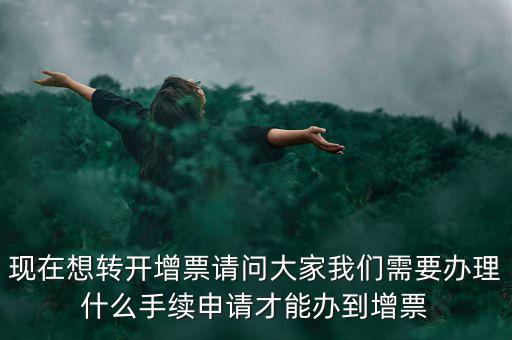 申請(qǐng)?jiān)黾影l(fā)票需要什么手續(xù)，去國(guó)稅局開增值稅專業(yè)發(fā)票需要帶什么材料