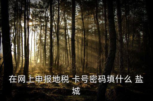 微信申報(bào)地稅的密碼是什么，地稅申報(bào)的用戶名和密碼是什么