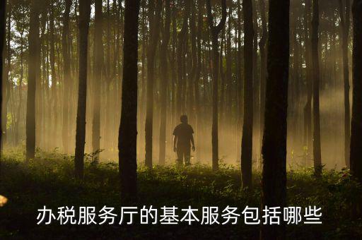 一體化辦稅服務(wù)廳是什么，辦稅服務(wù)廳的基本服務(wù)包括哪些
