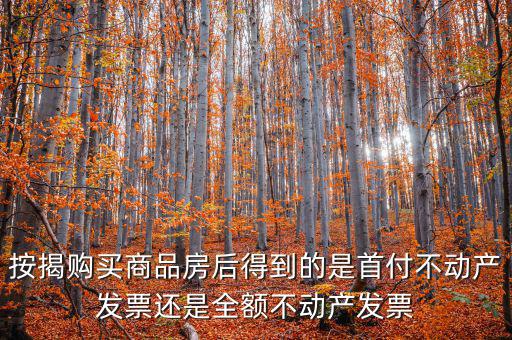 什么是全額不動(dòng)產(chǎn)發(fā)票，想問(wèn)一下購(gòu)房全額發(fā)票到底是什么的侯才開(kāi)是在交房的時(shí)侯還是辦