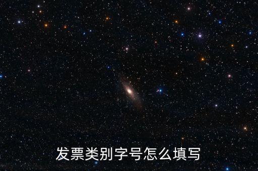 餐飲發(fā)票是什么字體，發(fā)票類別字號怎么填寫