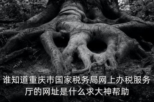 重慶稅務(wù)網(wǎng)站是什么，那個小型企業(yè)網(wǎng)上申報稅務(wù)的網(wǎng)站是多少啊發(fā)了一張流程表上