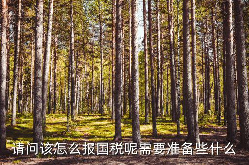 請(qǐng)問(wèn)該怎么報(bào)國(guó)稅呢需要準(zhǔn)備些什么