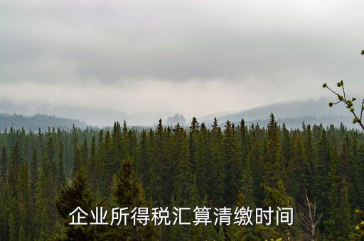 匯算清繳什么時候，個人所得稅匯算清繳的時間一定是次年的3月31日前
