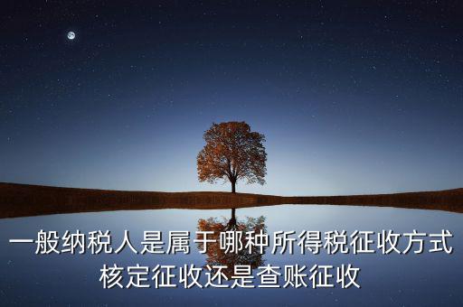 一般納稅人屬于什么，什么是一般納稅人