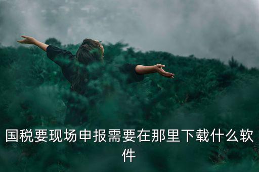 國稅要現(xiàn)場(chǎng)申報(bào)需要在那里下載什么軟件