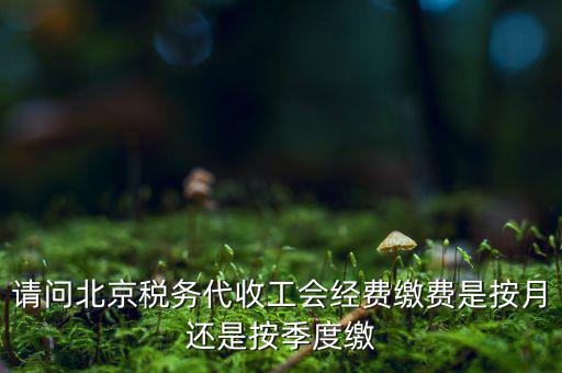 請(qǐng)問(wèn)北京稅務(wù)代收工會(huì)經(jīng)費(fèi)繳費(fèi)是按月還是按季度繳