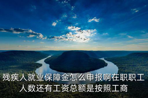 殘疾保證金什么申報，殘疾人就業(yè)保障金怎么申報啊在職職工人數(shù)還有工資總額是按照工商
