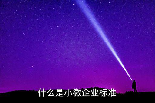什么是小微企業(yè)標(biāo)準(zhǔn)
