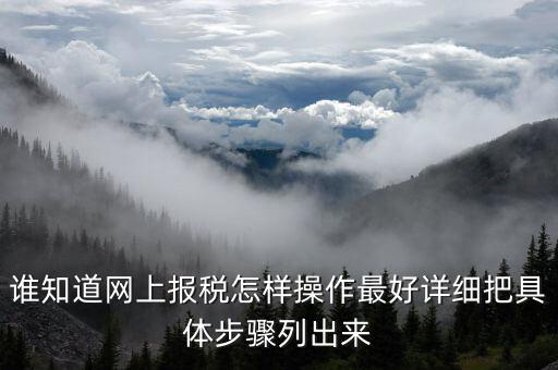 成品油消費(fèi)稅在什么系統(tǒng)申報(bào)，請(qǐng)教網(wǎng)上報(bào)稅步驟謝謝大家了