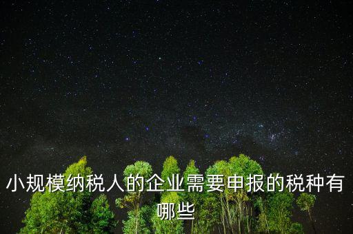 國稅小企業(yè)報(bào)什么稅，無錫 一般納稅人 小企業(yè)納稅人 國稅 地稅 分別要報(bào)哪些